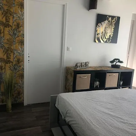Apparemment Duplex Terrasse Solarium Avec Parking *