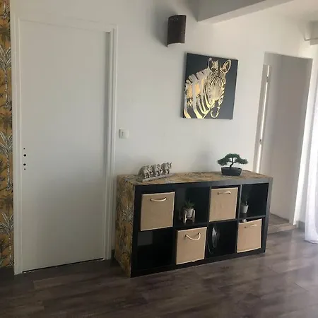 Apparemment Duplex Terrasse Solarium Avec Parking アパート *