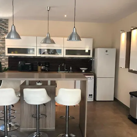 Apparemment Duplex Terrasse Solarium Avec Parking アパート